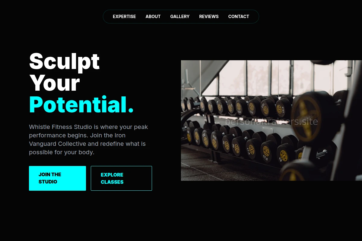 Whistle Fitness Studio